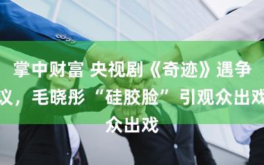 掌中财富 央视剧《奇迹》遇争议，毛晓彤 “硅胶脸” 引观众出戏