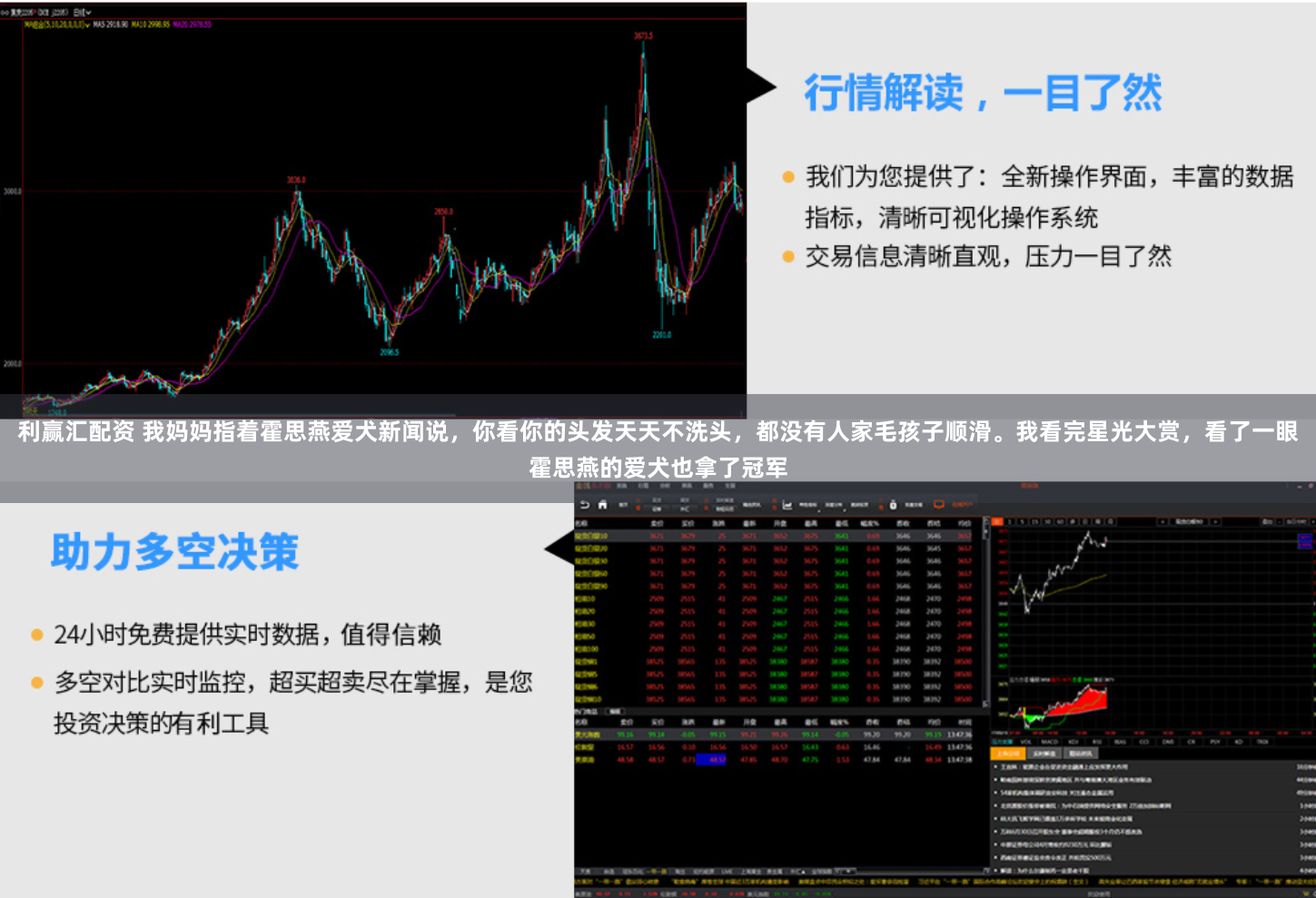 利赢汇配资 我妈妈指着霍思燕爱犬新闻说，你看你的头发天天不洗头，都没有人家毛孩子顺滑。我看完星光大赏，看了一眼霍思燕的爱犬也拿了冠军