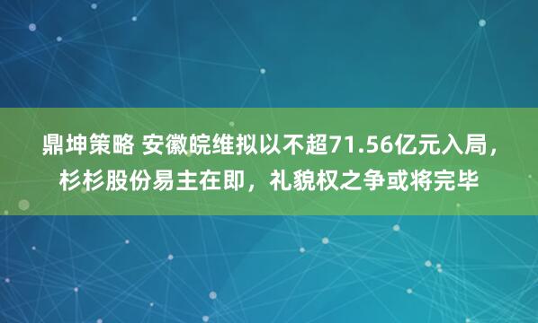 鼎坤策略 安徽皖维拟以不超71.56亿元入局，杉杉股份易主在即，礼貌权之争或将完毕