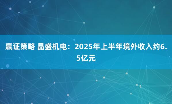赢证策略 晶盛机电：2025年上半年境外收入约6.5亿元