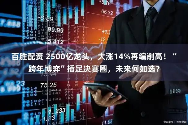 百胜配资 2500亿龙头，大涨14%再编削高！“跨年博弈”插足决赛圈，未来何如选？