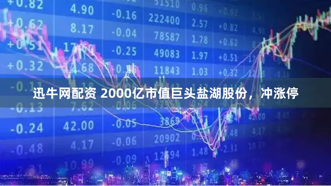 迅牛网配资 2000亿市值巨头盐湖股份，冲涨停