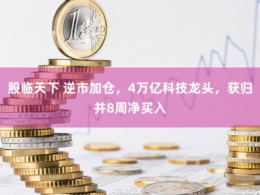 股临天下 逆市加仓，4万亿科技龙头，获归并8周净买入