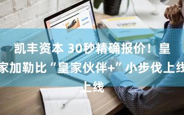 凯丰资本 30秒精确报价！皇家加勒比“皇家伙伴+”小步伐上线