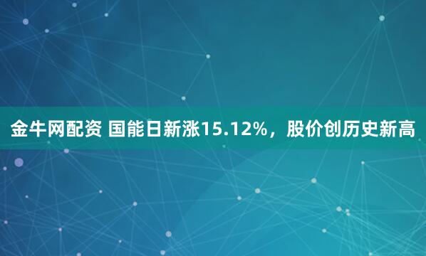 金牛网配资 国能日新涨15.12%，股价创历史新高