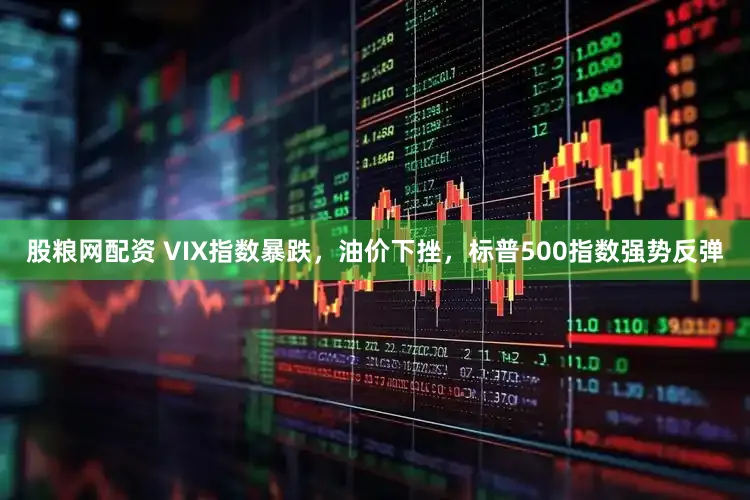 股粮网配资 VIX指数暴跌，油价下挫，标普500指数强势反弹