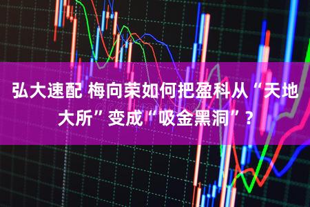 弘大速配 梅向荣如何把盈科从“天地大所”变成“吸金黑洞”？