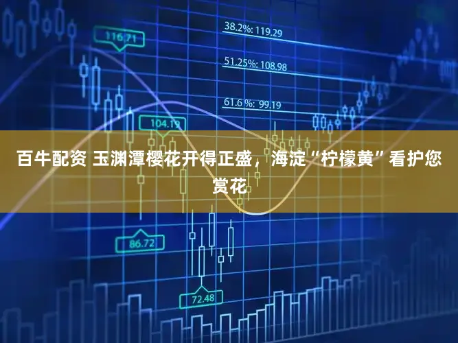 百牛配资 玉渊潭樱花开得正盛，海淀“柠檬黄”看护您赏花