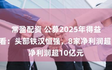 常盈配资 公募2025年得益单抢先看：头部铁汉恒强，8家净利润超10亿元