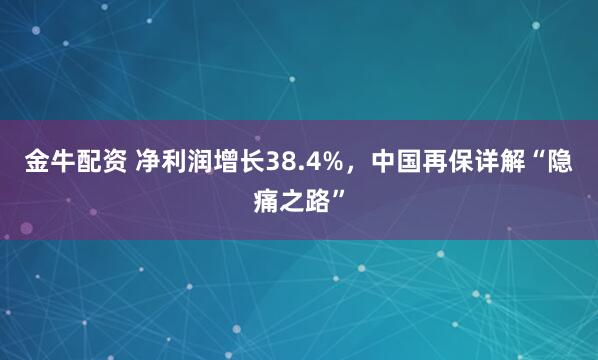 金牛配资 净利润增长38.4%，中国再保详解“隐痛之路”