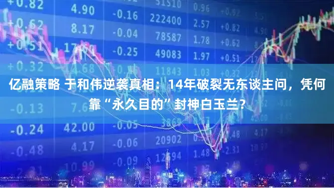 亿融策略 于和伟逆袭真相：14年破裂无东谈主问，凭何靠“永久目的”封神白玉兰？