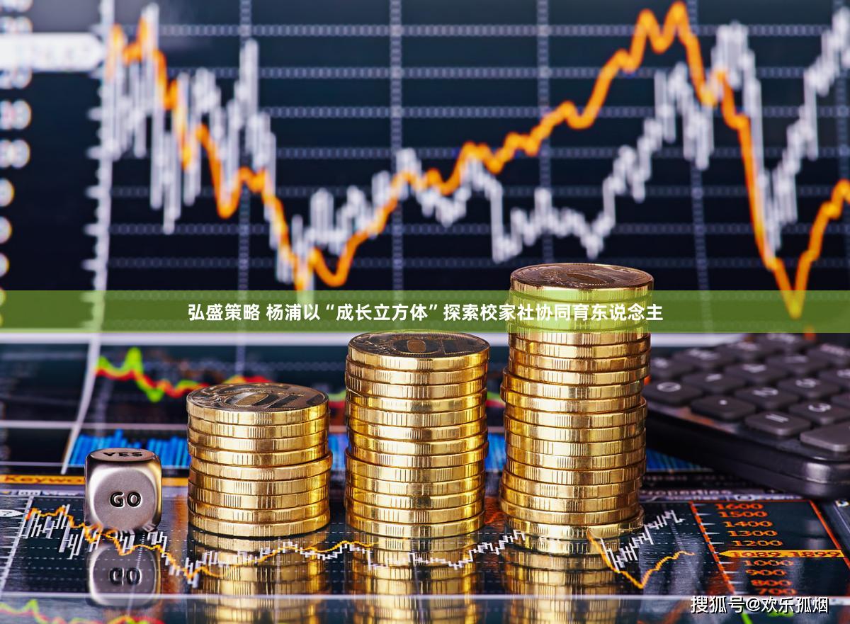 弘盛策略 杨浦以“成长立方体”探索校家社协同育东说念主