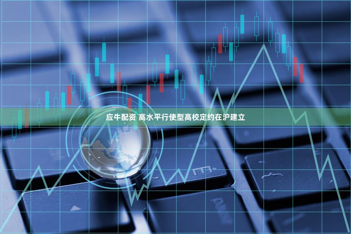 应牛配资 高水平行使型高校定约在沪建立